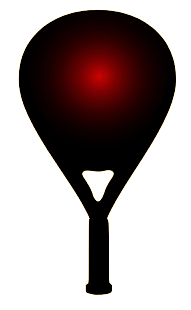 Selected Paddle